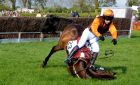 Horse and rider unhurt.